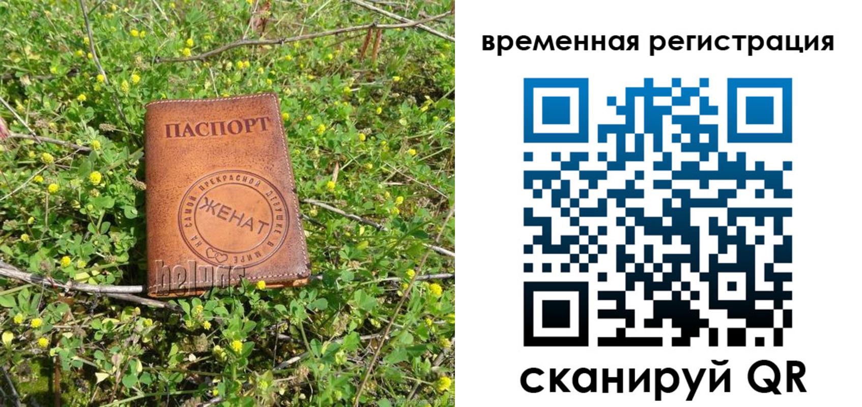 прописка регистрация в Ардоне